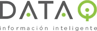 Data IQ